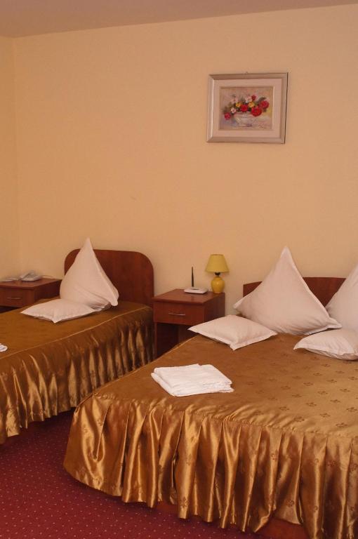 קלוז'-נאפוקה Hotel Delaf מראה חיצוני תמונה