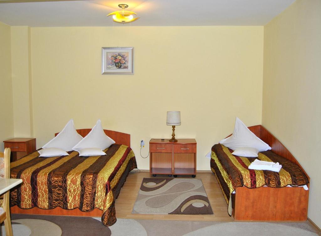 קלוז'-נאפוקה Hotel Delaf מראה חיצוני תמונה